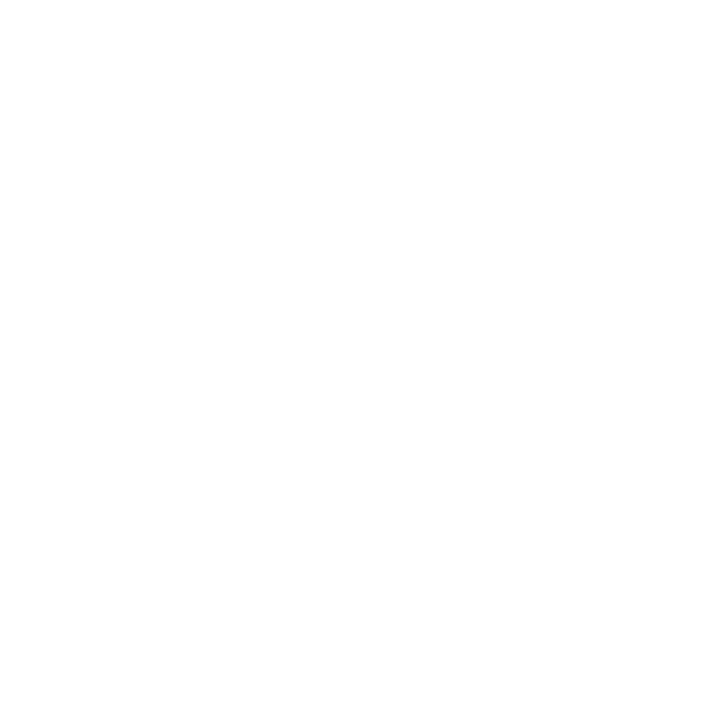 Capo-1.png