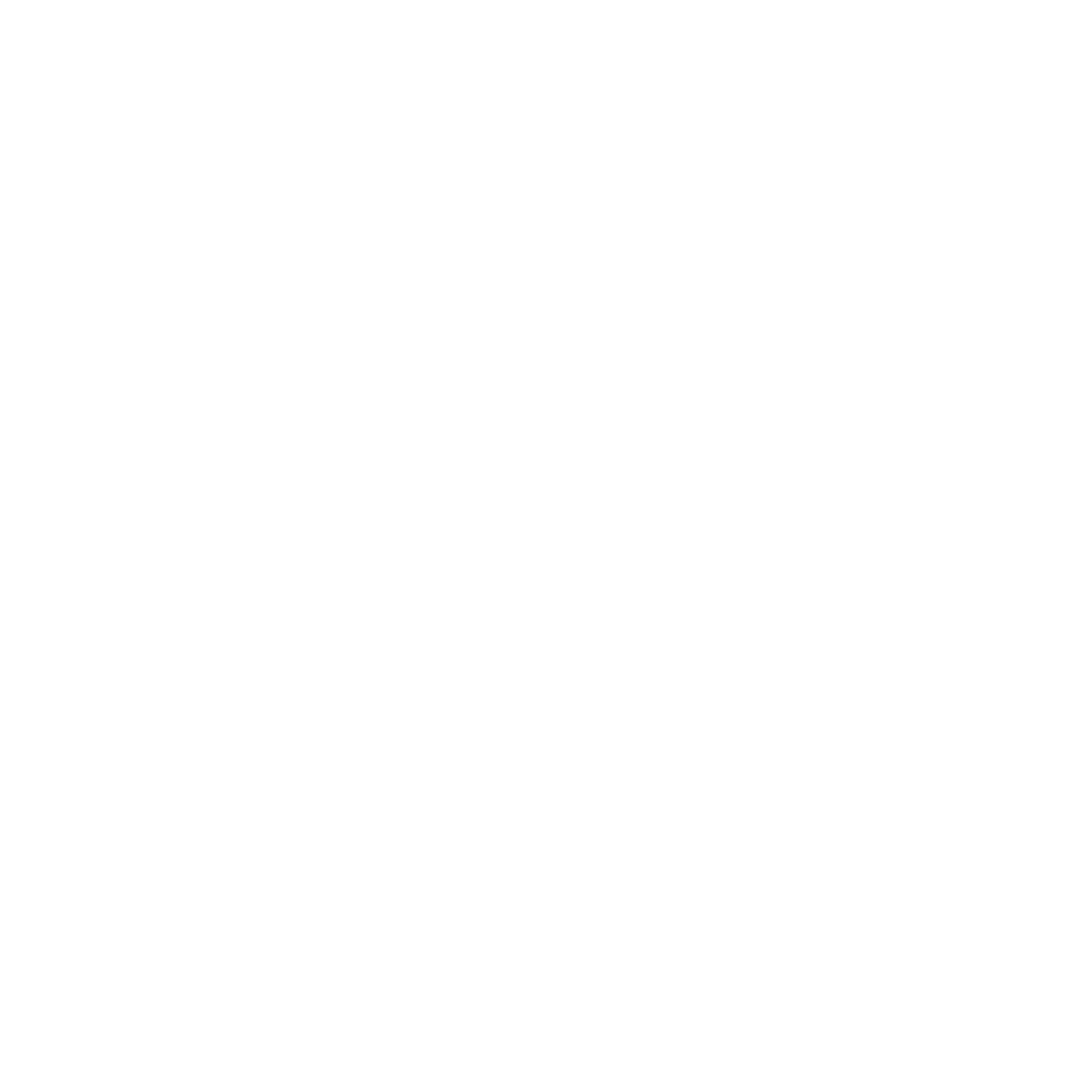 eXCELENCIA.png
