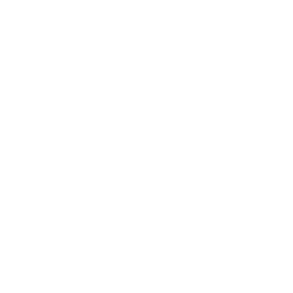 luiz.png